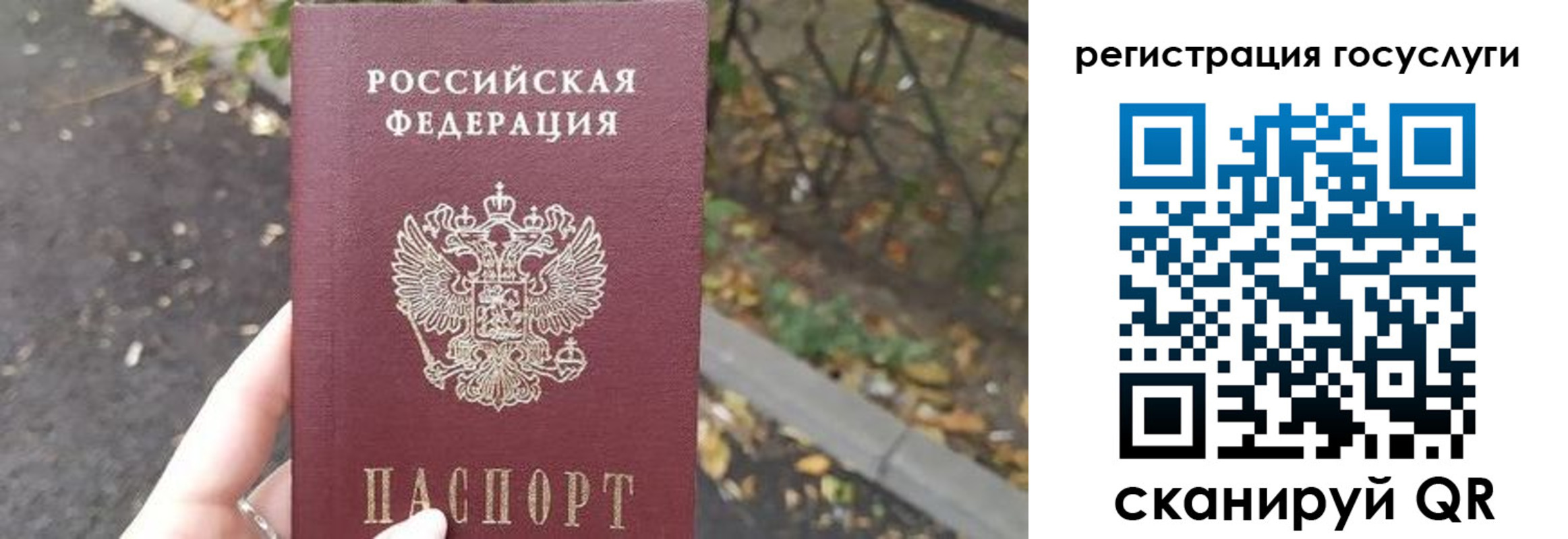 купить прописку в Торопеце